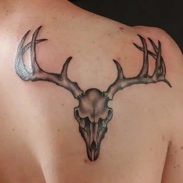 Neo Traditional Deer Skull Tattoos