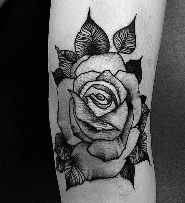 Black Rose Tattoo-39