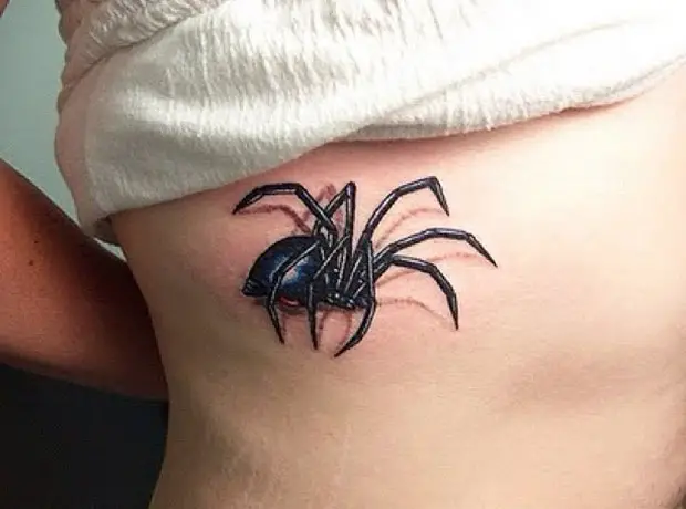 Spider 3d Tattoo Designs For Girls