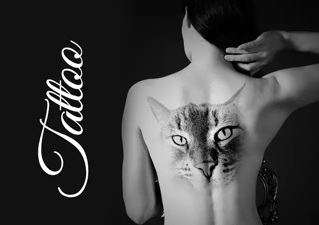 cat tattoos